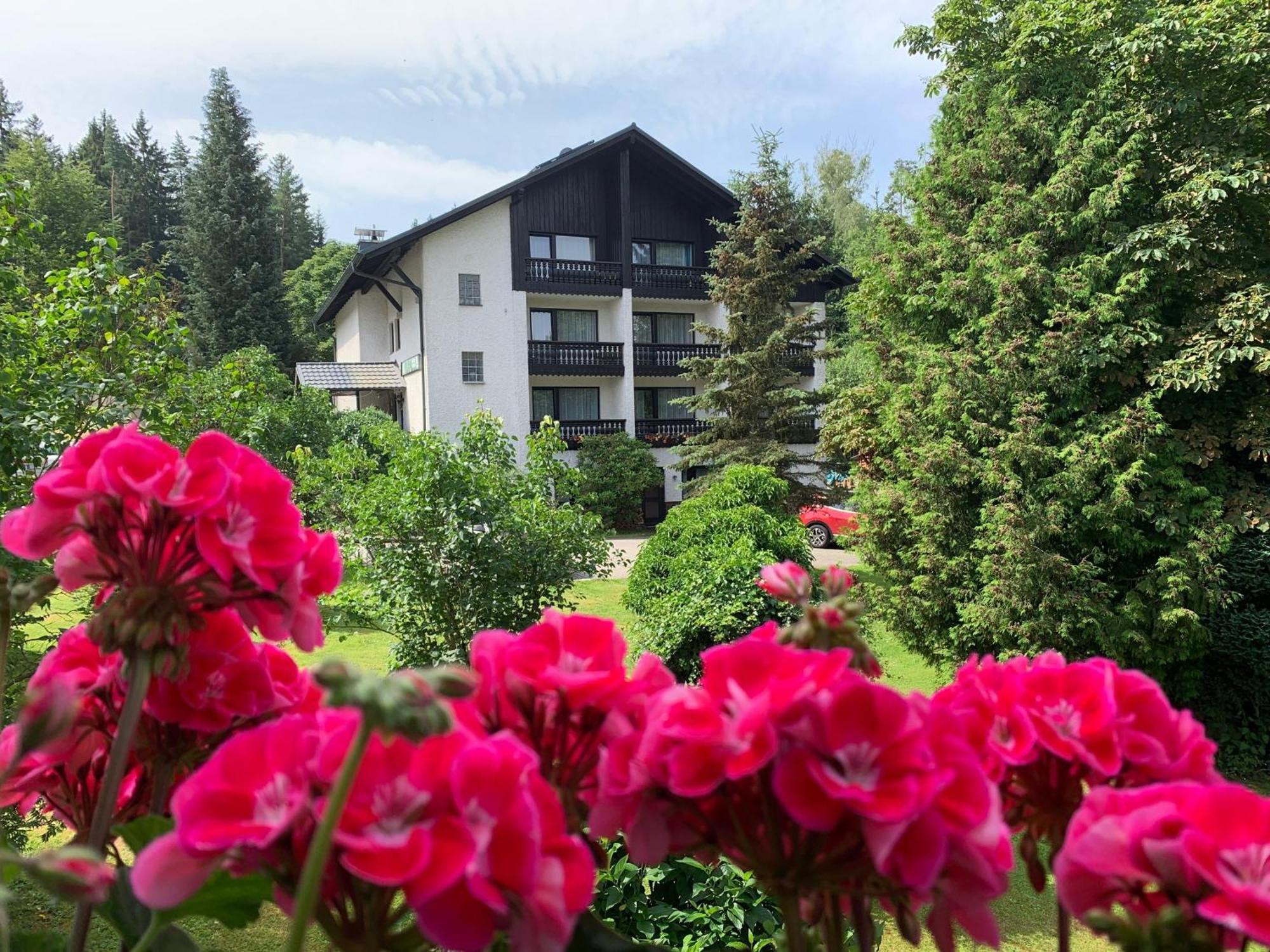 Landhaus Am Forst Bad Alexandersbad Eksteriør bilde