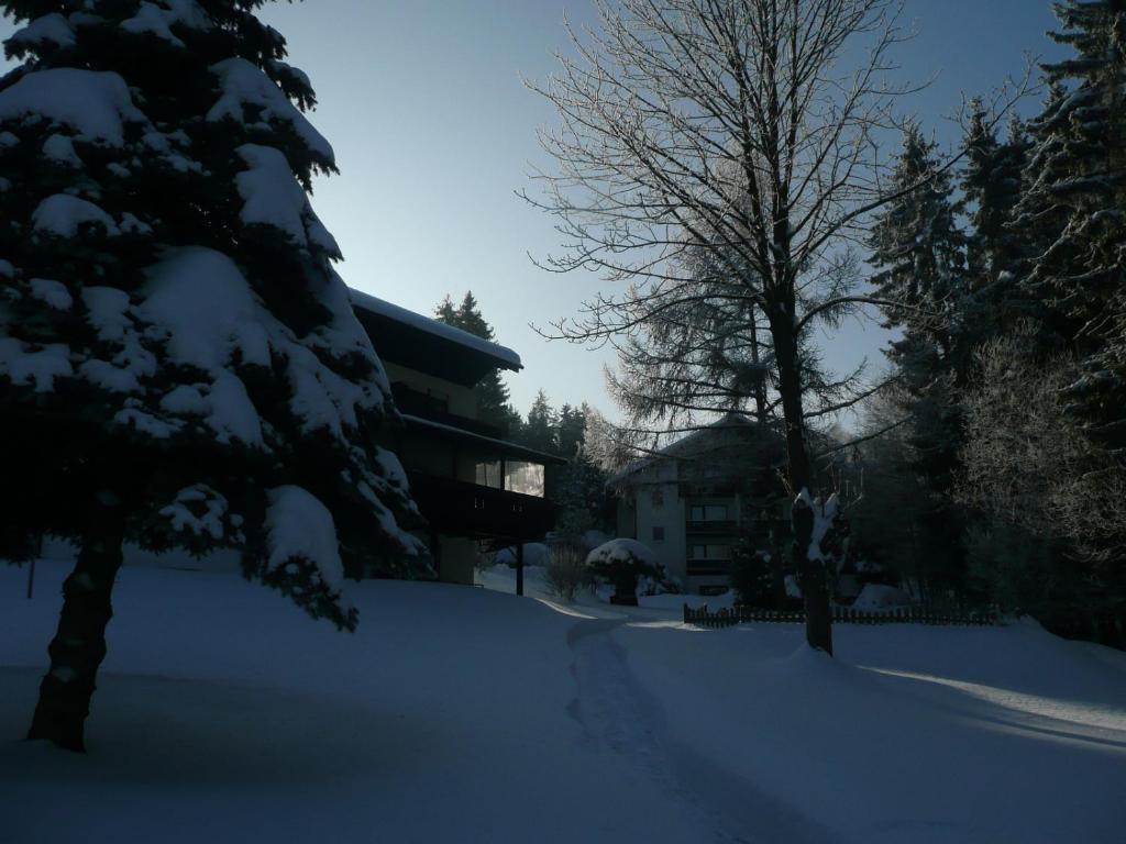 Landhaus Am Forst Bad Alexandersbad Eksteriør bilde